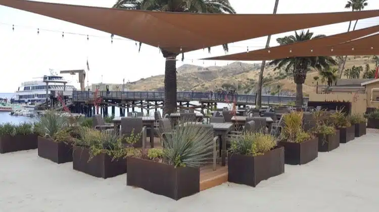 corten steel planter pots